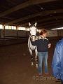 Longierlehrgang_2007_05