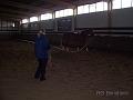 Longierlehrgang_2007_18