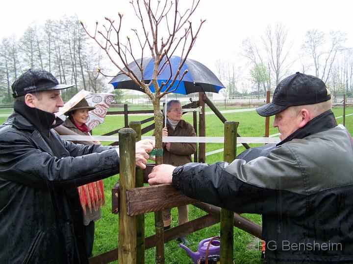 Baumpflanzung26.jpg