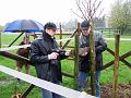 Baumpflanzung13