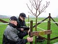 Baumpflanzung20