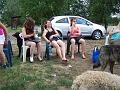 Grillen_2011_09