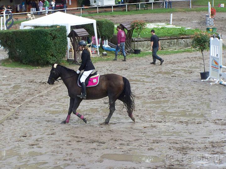 WFT_2011_005.JPG