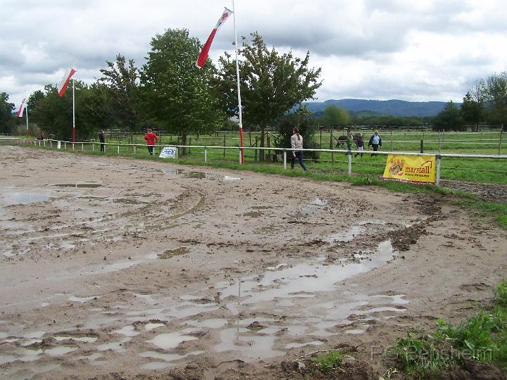 WFT_2011_016.JPG