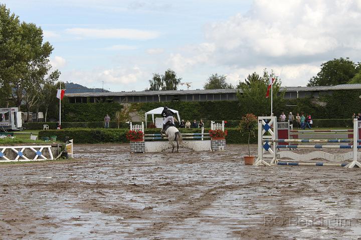 WFT_2011_116.JPG