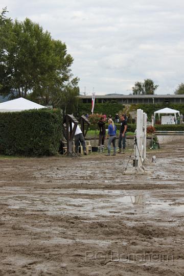 WFT_2011_140.JPG