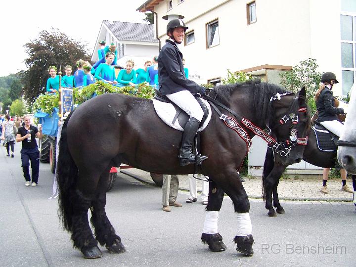 WF_Umzug_2011_007.JPG