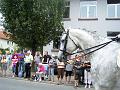 WF_Umzug_2011_081